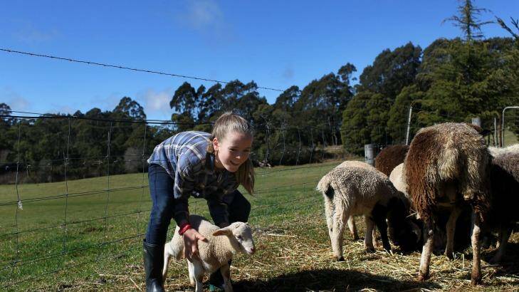 Spring is sprung: Ivy Hayes with a spring lamb in the southern highlands. Photo: Getty Images/ Sahlan Hayes
