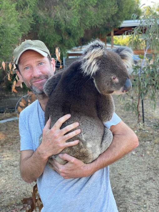 Cian O'Clery carrying one of the burnt koalas filmed in 'After The Fires' documentary. 