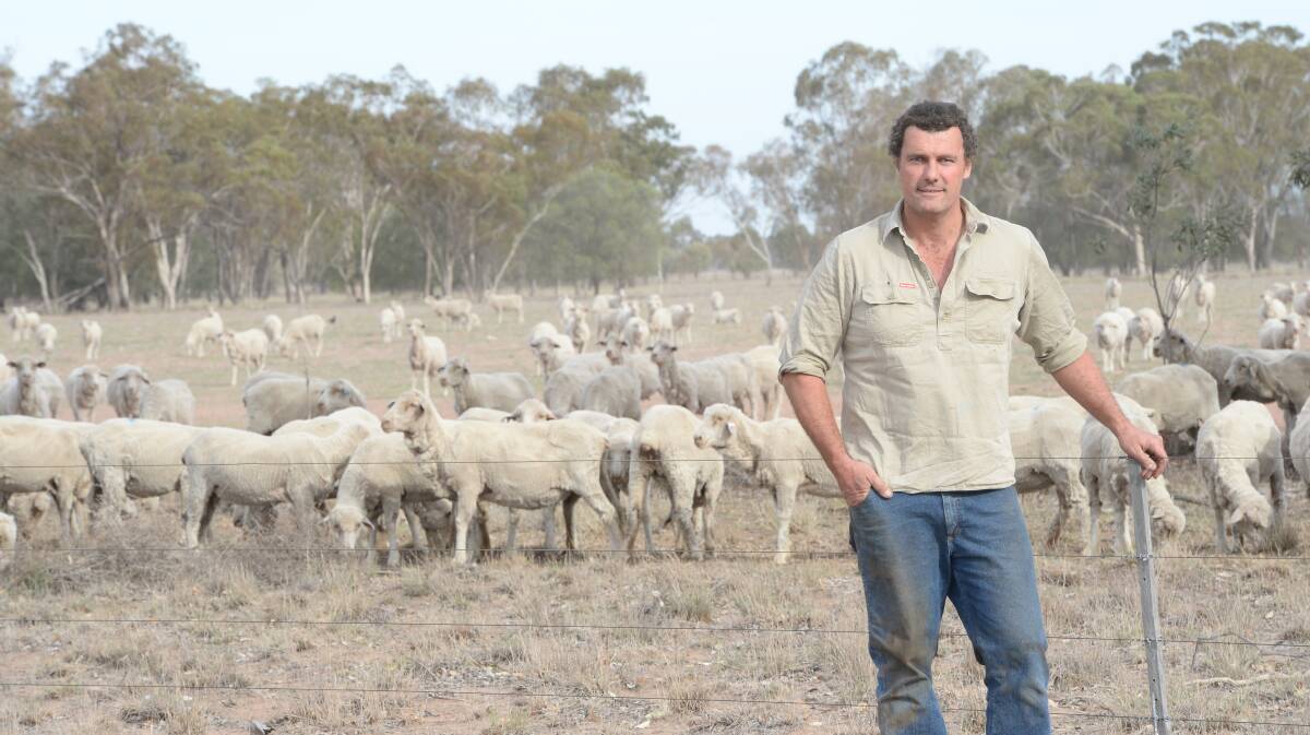 Lambs Alive participant JB Tancred, The Maze, Gulargambone, with mixed-age ewes pregnancy scanned with twins. Photo: Rachael Webb