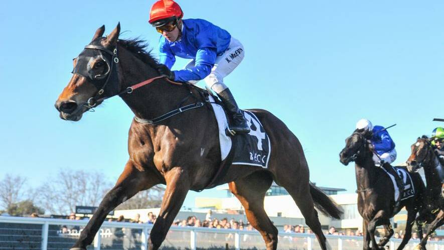 Going places: Bivouac was supreme at Caulfield. Picture: Godolphin.