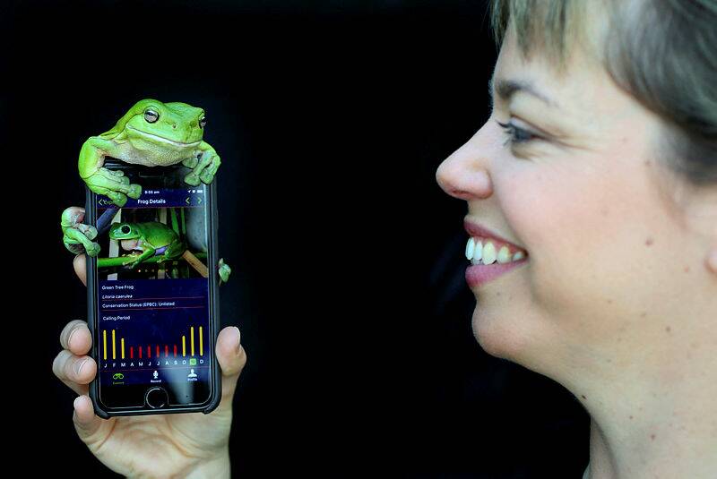 Dr Jodi Rowley from the Australian Museum said the audio is vital for scientists who want to understand more about frogs. Picture: Supplied. 