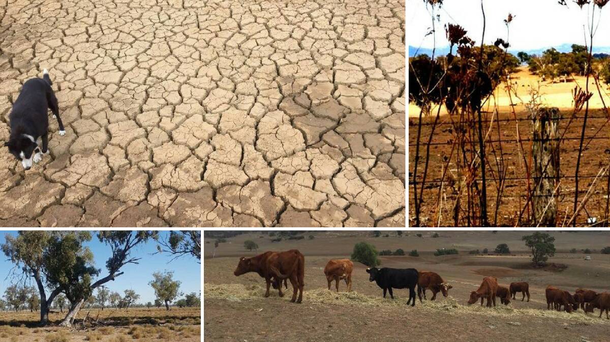 How you can help western NSW farmers survive the drought | Video, photos