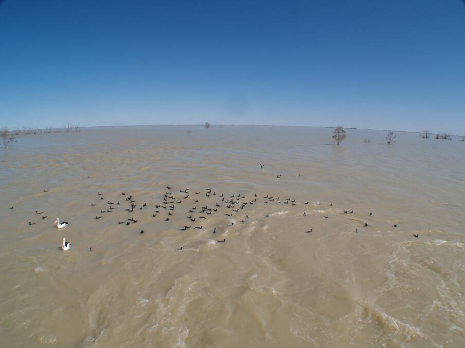 Menindee Lakes in better times. This file photo is taken from 2012 as the Copi Hollow channel releases water into Lake Menindee. The lakes system was at the time full beyond the brim, at about 117 per cent capacity. Photo ANDREW GREGSON. 