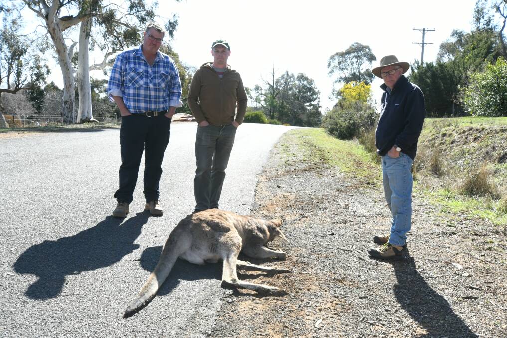 INHUMANE: Clifton Grove residents Andrew Usher, Peter West and John Pullen were distraught to discover a kangaroo had been intentionally hit. Photo: JUDE KEOGH 0909jkroo3