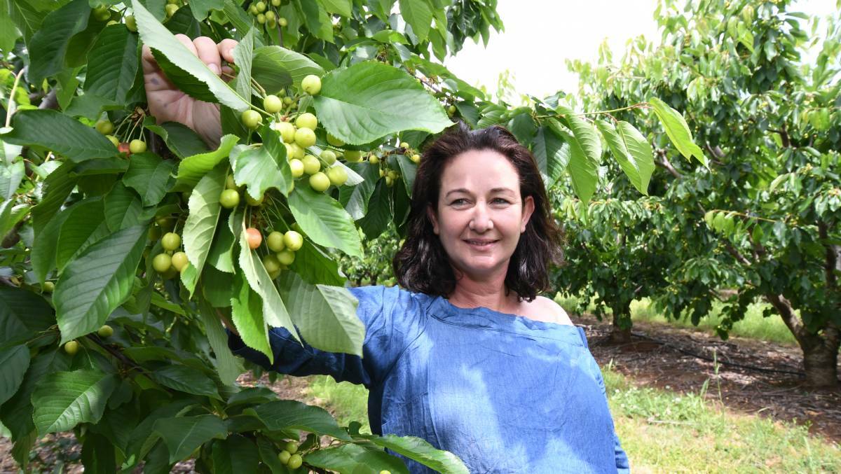 SLOW FOOD: Fiona Hall said four trucks of fruit were delayed due to road closures in the Blue Mountains on Saturday. 