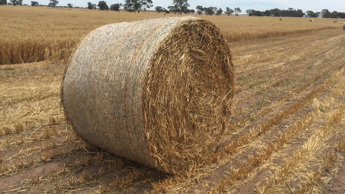 HELP: The vital injection is equivalent to about 900 round bales of hay. Photo: FILE