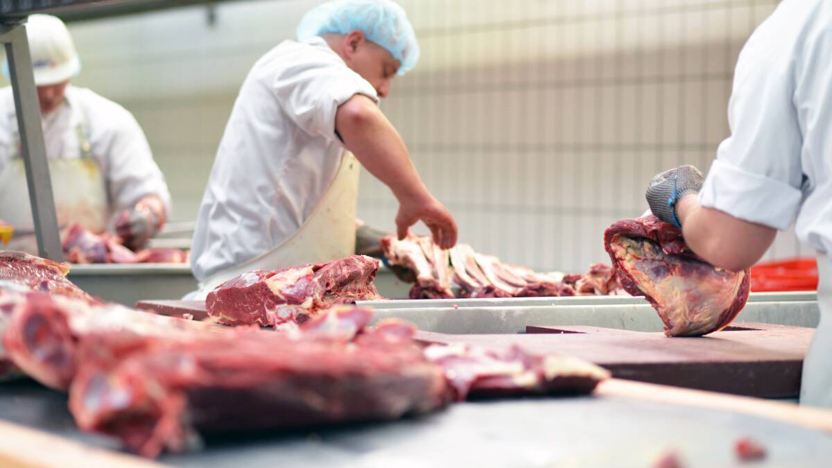 Abattoir staff shortages make it a tough time for cattle industry