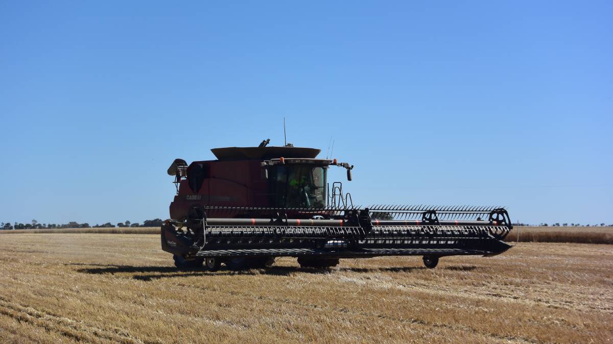IN THE FIELD: Help Harvest NSW website launches to help people get back to work in agriculture industry. Photo: FILE