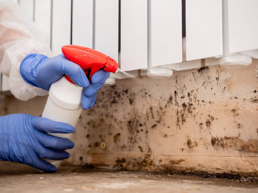 5 Tips for cleaning up mould after a flood