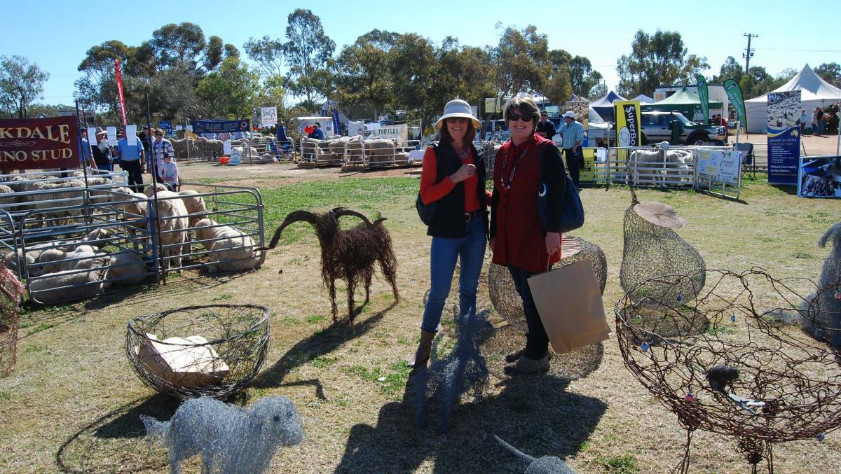 EXPO: There's plenty for everyone at this year's Ag Expo. Photo: DAWN HOPWOOD
