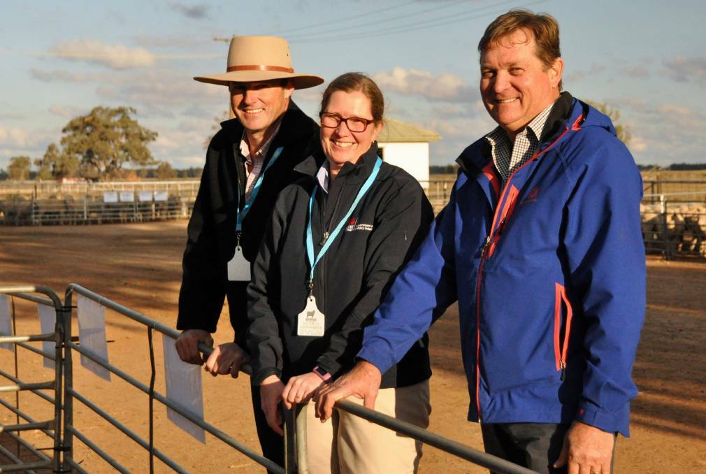 INSPECTING: Macquarie Sire Evaluation Association chair David Greig, NSW DPI livestock researcher Dr Kathryn Egerton-Warburton and AWI director Don MacDonald. Photo: CONTRIBUTED