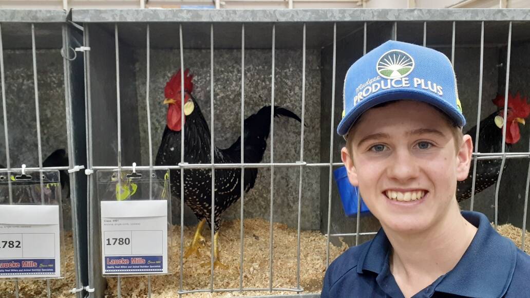 Hamish Stanford with one of his birds at the 2024 Sydney Royal Easter Show. Picture supplied