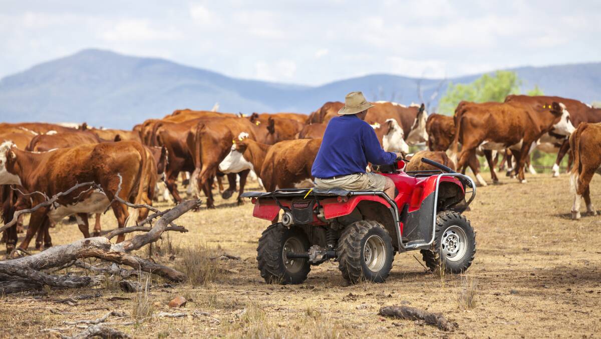 According to Safe Work Australia in 2019 a total of eight people were killed due to quad bikes, and 14 people have already died in 2020. Photo: Shutterstock. 