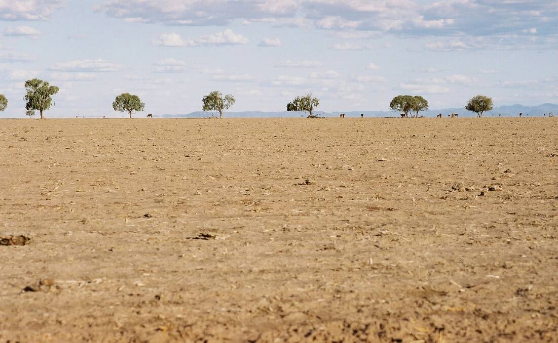 Support was enough: The NFF believe the drought support measures announced by the Federal Government last year aimed to cater to all farmers, but also called for an all-of-government policy to provide certainty. Photo: Nevile Owen.