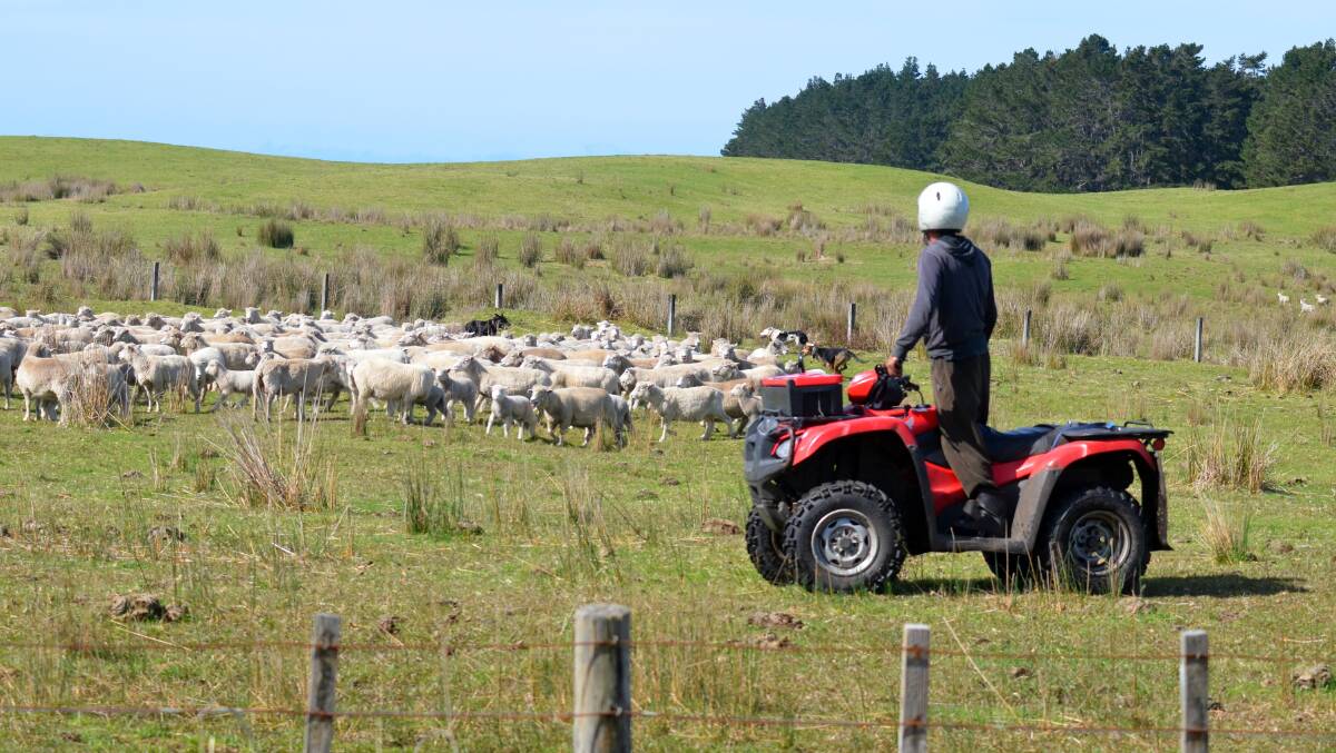 There have been reports of farmers buying multiple quad bikes and dealerships running out of stock as manufacturers set to pull out of the Australian market. PHOTO: SHUTTERSTOCK 