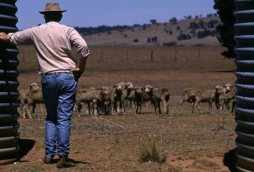 The survey found 44 per cent of farmers surveyed in NSW expect conditions in the agricultural economy to deteriorate in the coming 12 months. Photo: Shutterstock.