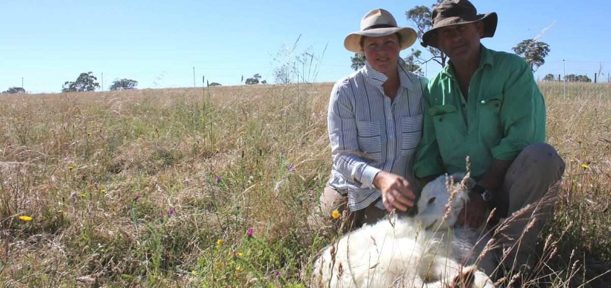 Holistic farming: Kim and Bryan Kiss, Wellington, pictured here with their Maremma dog Chomp, undertake environmentally friendly practices on their property, Meramie. Photo: Contributed 