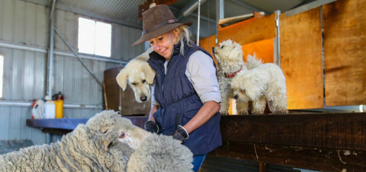 Farm fun: Julie McLeod, from Ba Mack Farmstay, Mudgee, provides families with a real hands-on experience of farm life. Photo: Rich Thompson (Cadence Media)  