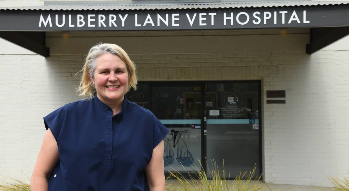 Dr Lucy Downs has enjoyed her role as head vet and owner of Mulberry Lane Vet Hospital. Picture by Carla Freedman