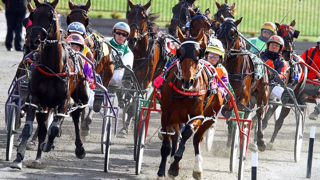 Horse and driver in sync at Bathurst Harness Racing.