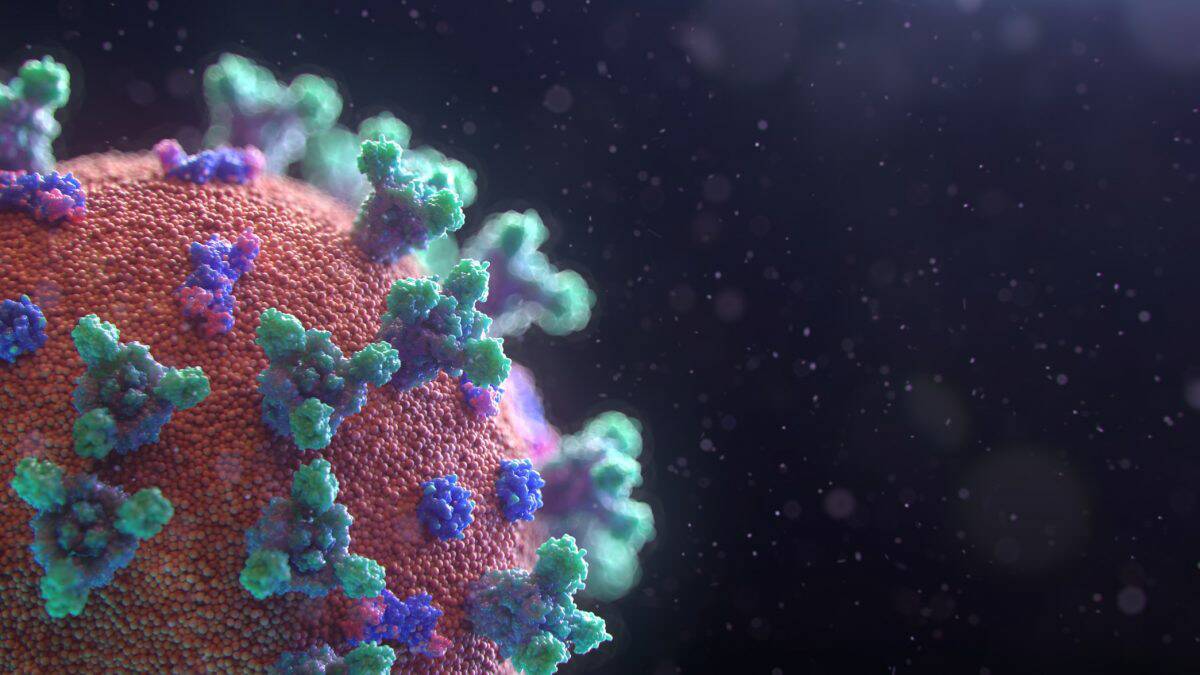 Coronavirus testing reveals four new cases in NSW