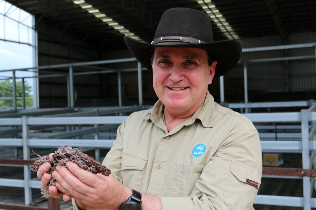 Dr Rob Kinley with FutureFeed at CSIROs Lansdown research station in North Queensland.