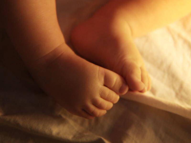 A top SA health official says a cluster of baby deaths an an Adelaide hospital is concerning.