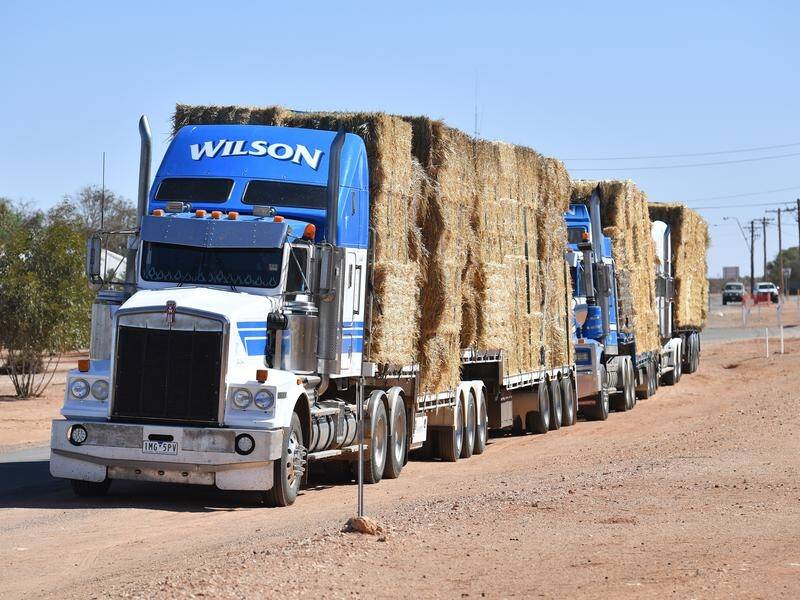 A convoy of road trains have delivered hay from Western Australia to central western NSW.