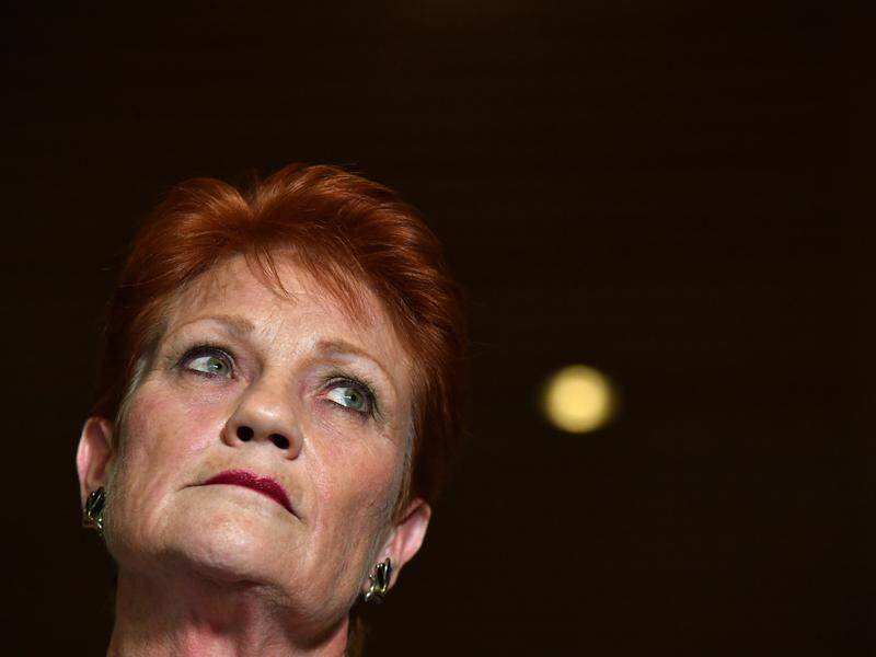 The government says it will allow Senator Pauline Hanson to co-chair the committee on family law.