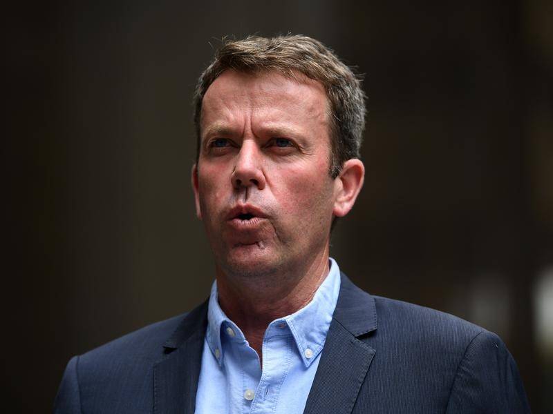 Education Minister Dan Tehan has conceded some childcare providers are charging more than the cap.