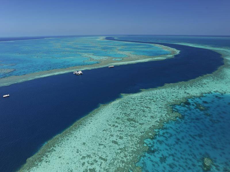 The Queensland government is set to allocate another $270m towards protecting the Great Barrier Reef