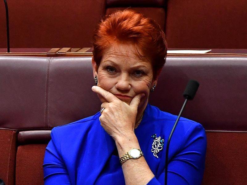 One Nation's Pauline Hanson understated the number of unemployed people in Australia by over 230,000