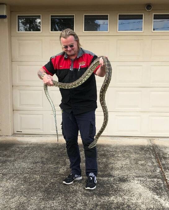 Visitor: Glenn Lawrence with the carpet python at Springwood Police Station.
