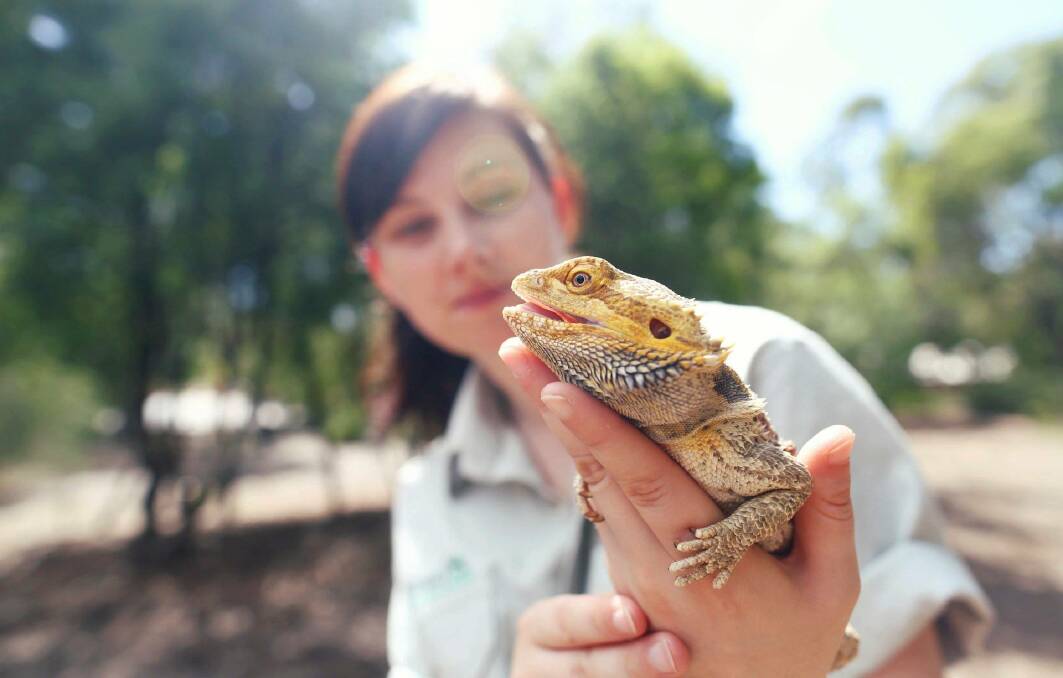 Join in a Zoo Adventures during these school holiday. Photo: Taronga Western Plains Zoo 
