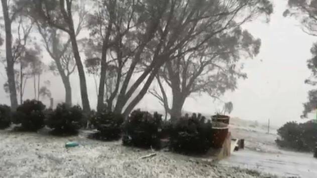 WHITE OUT: Snowfall in Oberon on Tuesday morning. Photo: MAUREEN LAWSON