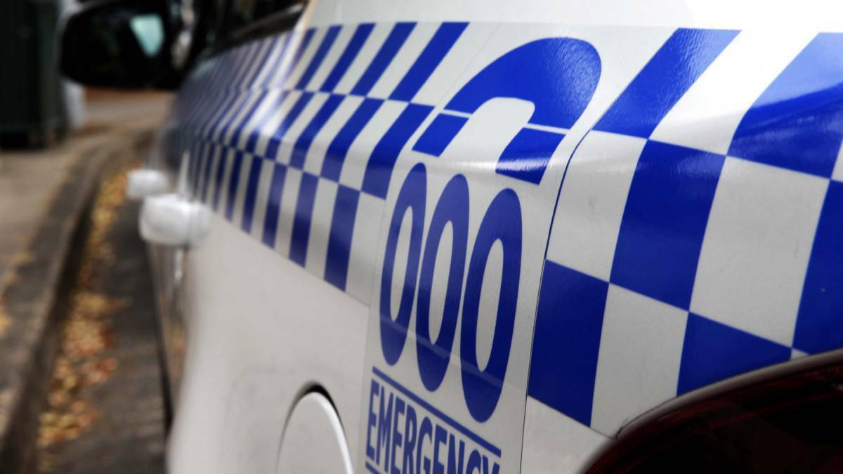 RURAL CRIME: A suspected sheep shooting incident near Lithgow is under investigation. Photo: FILE